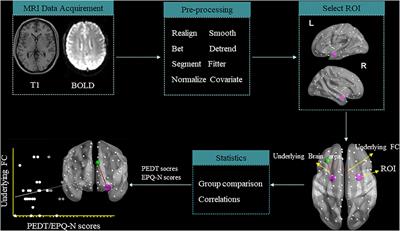 Frontiers Abnormal Functional Connectivity Between the Left